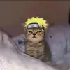 meonaruto16