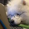 writingsong0