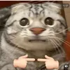 phan.t0987