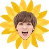 Cgeel Haechanie