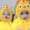 tante5600