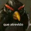 eduardo.cv83