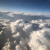 nevey_wevey147