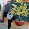 dalat497919