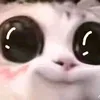 jajaiiii00