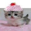 miimuup