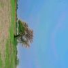 user84626936631815