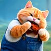 furballfunnies6