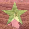 uc_nganha