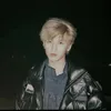 _dpl.yhx