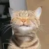 mama.karibo