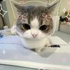aboutt_yaazky