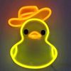cowboyduckz