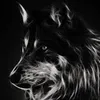 .alexander776