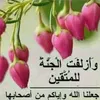 abdulsalam.alsama6