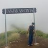 hendrobjirrr