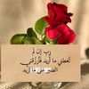 user3201298667736