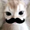 cutes1tg_1808