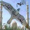 user7067733599273
