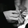 cx_2xx