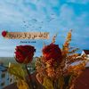 sora.mahmoud3