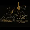 mac.performance.h