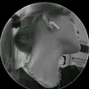 cjfbf6