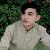zaminali11077