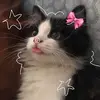 reusyaa