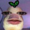 glxsyyy123