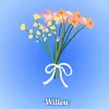 willow14487