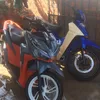 yanslipbmt1