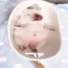 userw9y4kntrr3