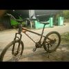 palmol355
