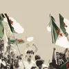 safifi_69