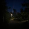 mirko_088