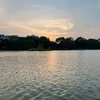 marica.liau