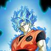 kakarot4905