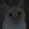 user51609298284732