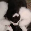 patrycja.jamrozia