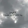 user6767568043469