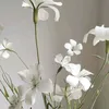 inspiration_lane