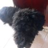 user92267320836121