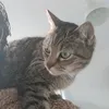 huize.poes4
