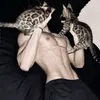 www.guubxo.com