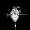 melikahmed439