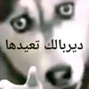 user6153387996804