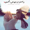 user7541011987508