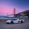 sf.rexic