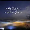 saraelseidnur